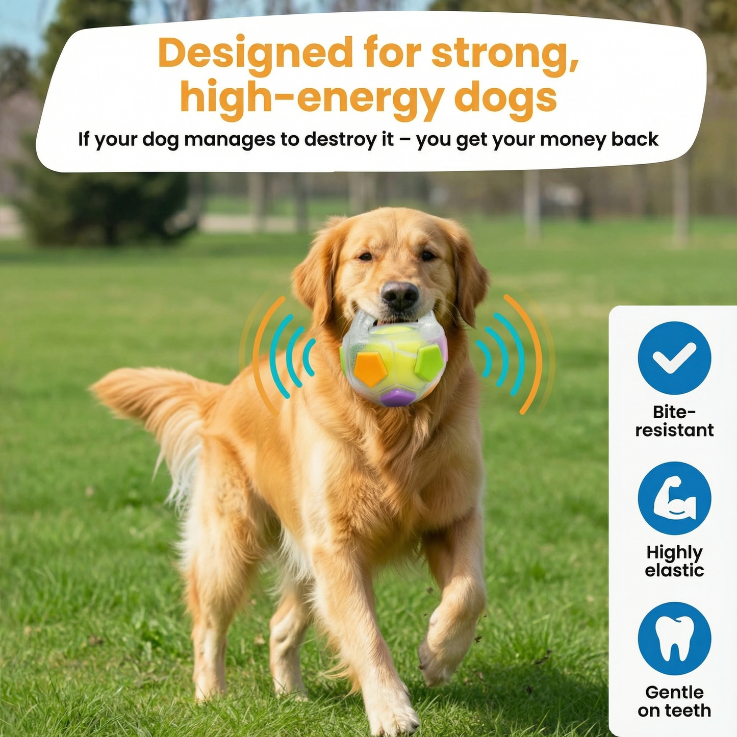 Durable Anti-Stress Chew Ball for Dogs