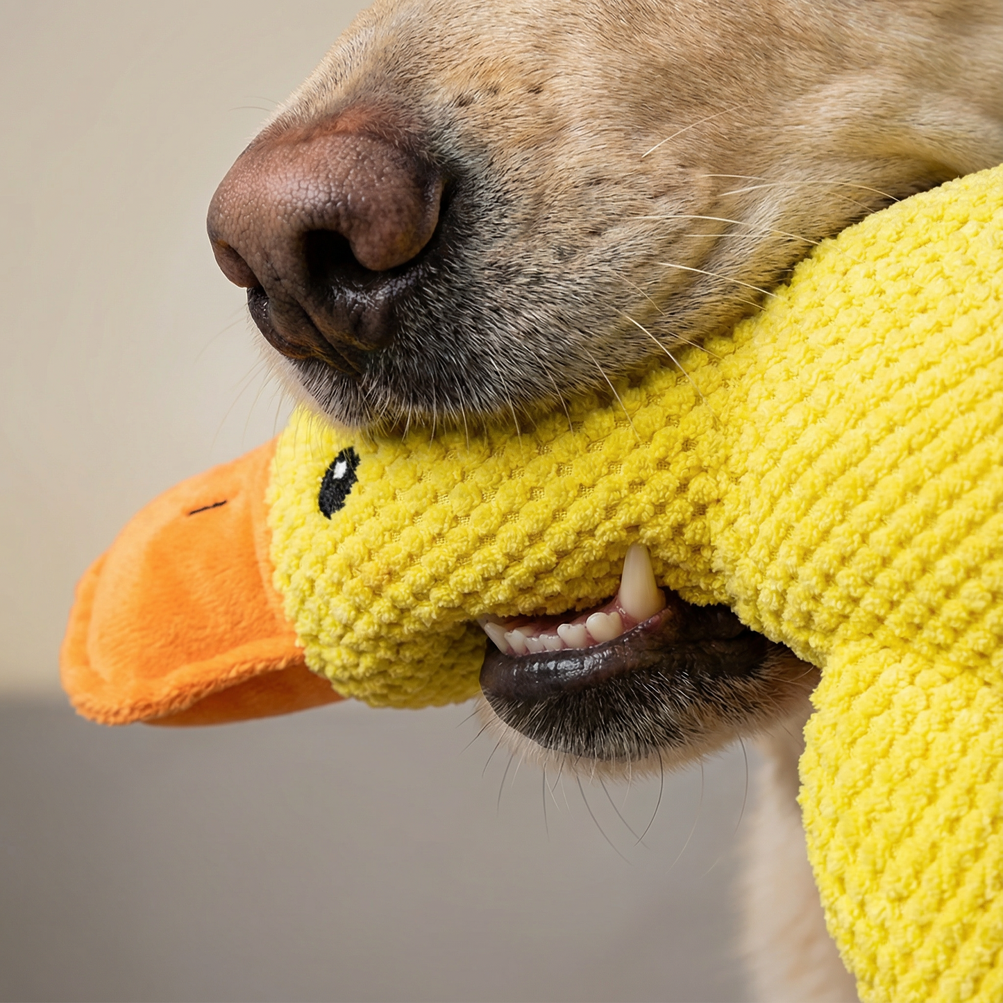 Calming Duck Plush Dog Toy