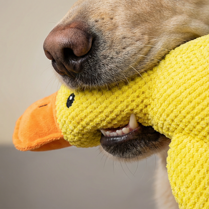 Calming Duck Plush Dog Toy