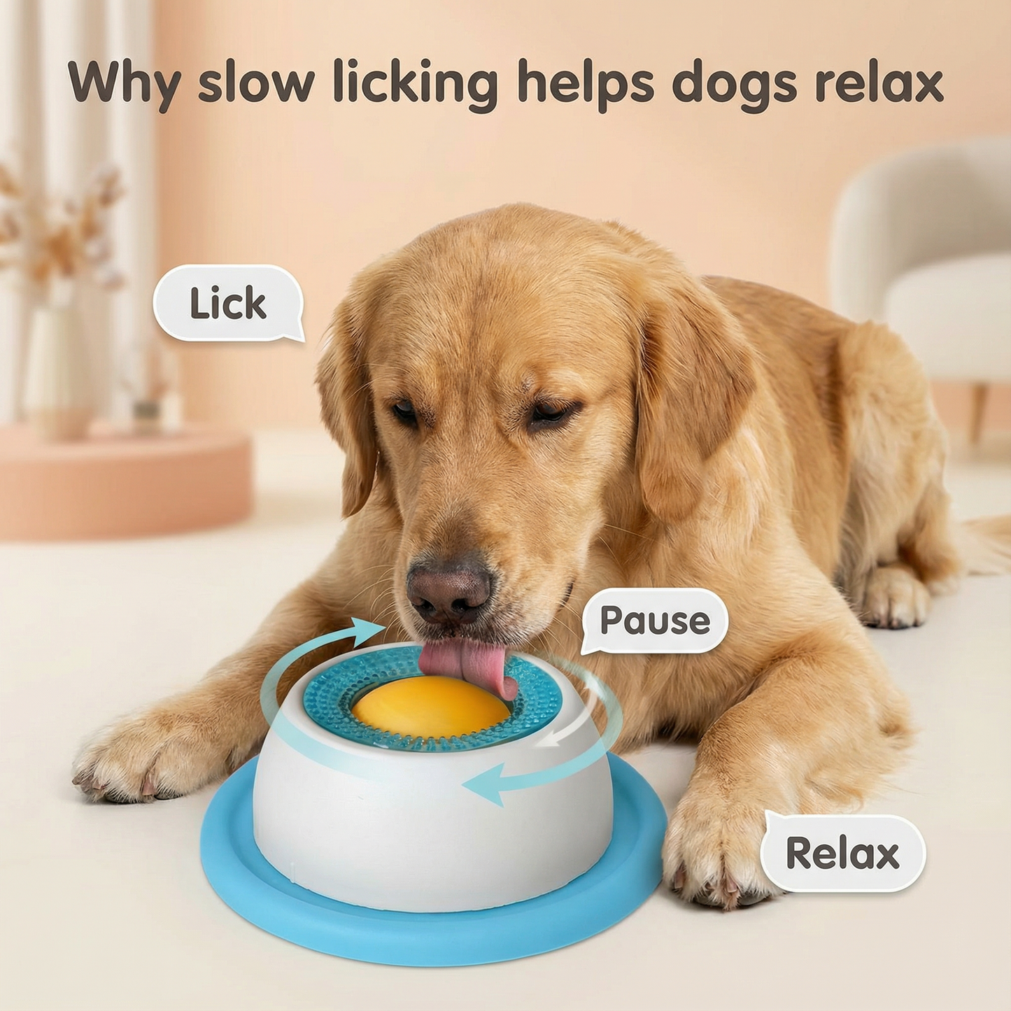 Liquid Lick Bowl for Dogs