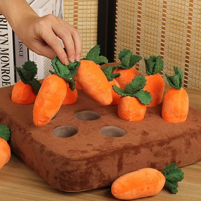 Carrot Garden Snuffle Toy