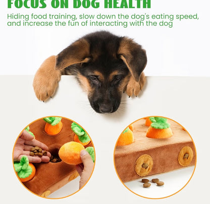 Carrot Garden Snuffle Toy