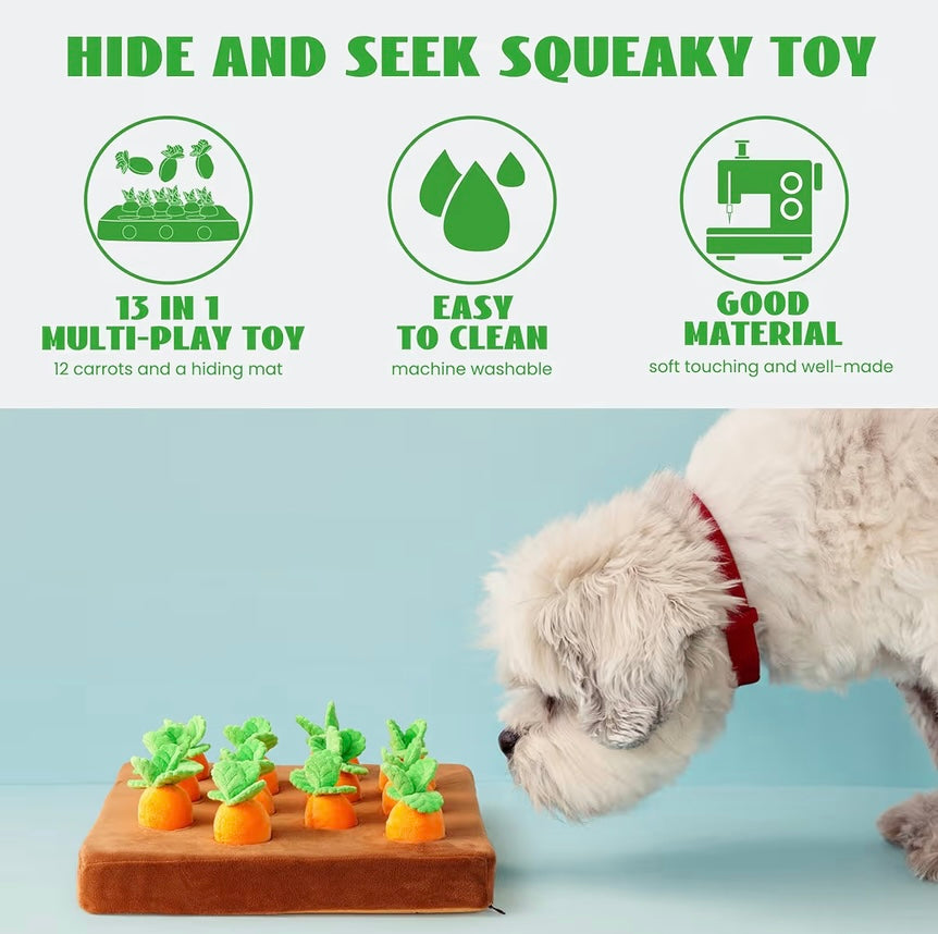 Carrot Garden Snuffle Toy