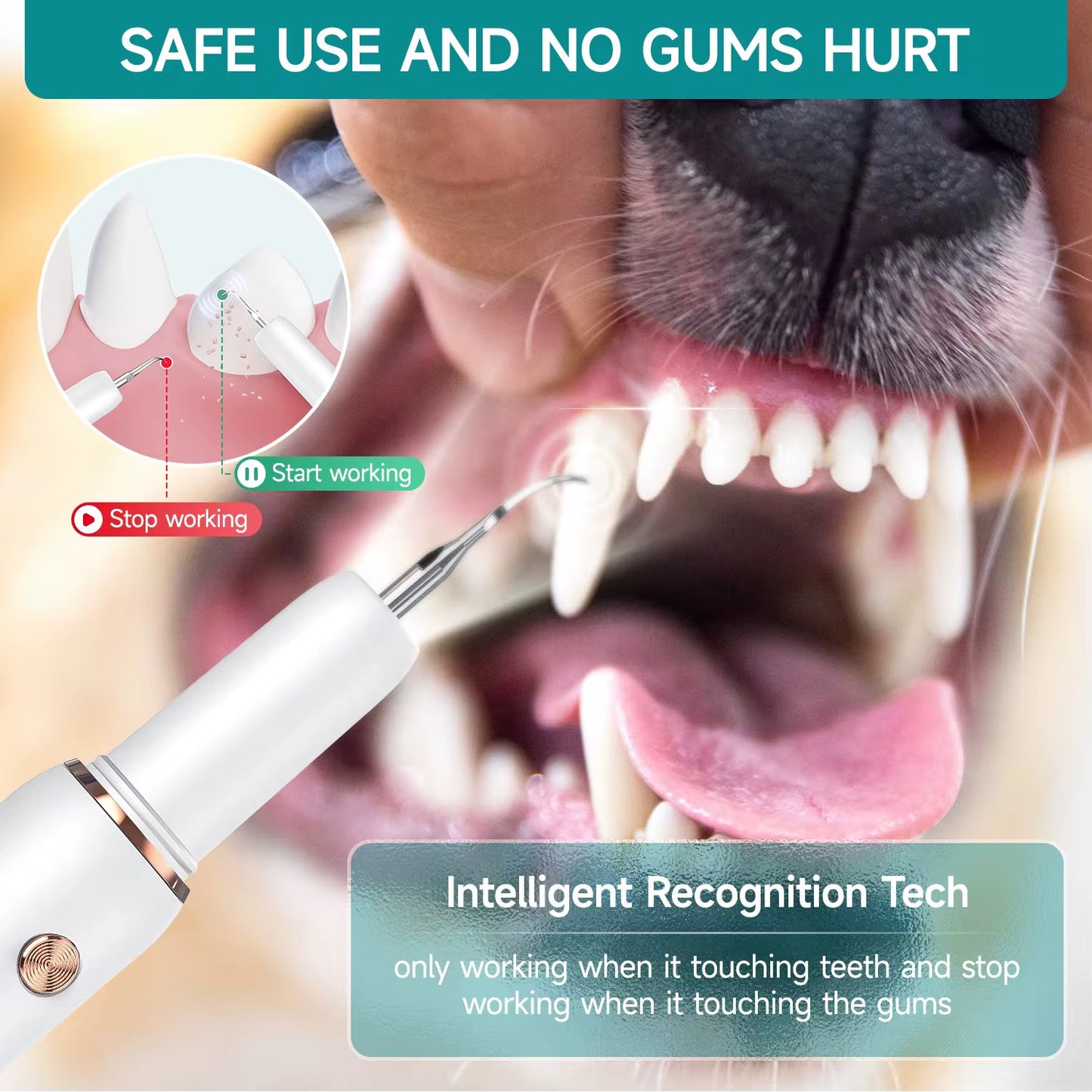 Silent Sonic Plaque & Tartar Remover For Dogs
