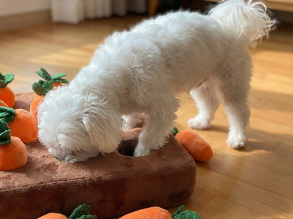 Carrot Garden Snuffle Toy