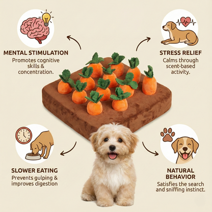 Carrot Garden Snuffle Toy