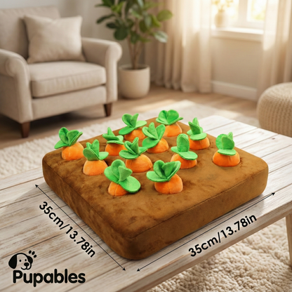 Carrot Garden Snuffle Toy