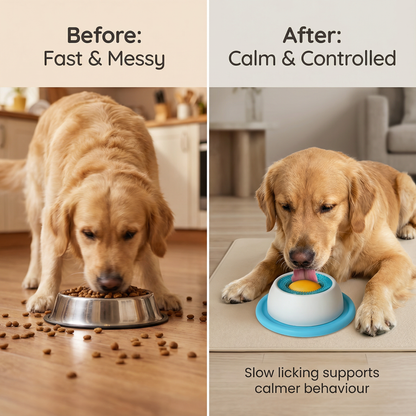 Liquid Lick Bowl for Dogs