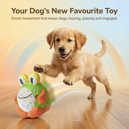 Jump & Chase Interactive Plush Dog Toy