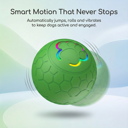 Smart Motion Interactive Dog Ball