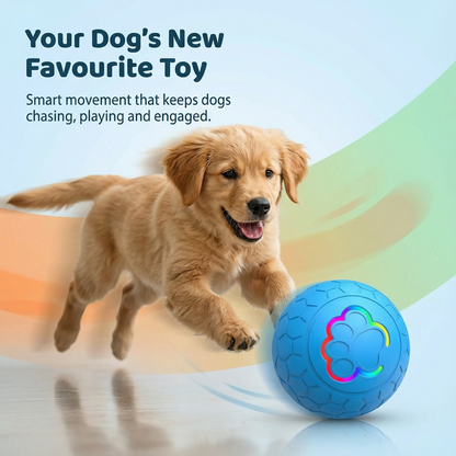 Smart Motion Interactive Dog Ball