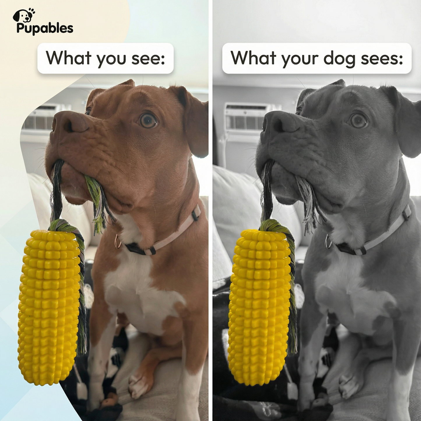 Durable Corn-Shape Chew Toy for Strong Chewers
