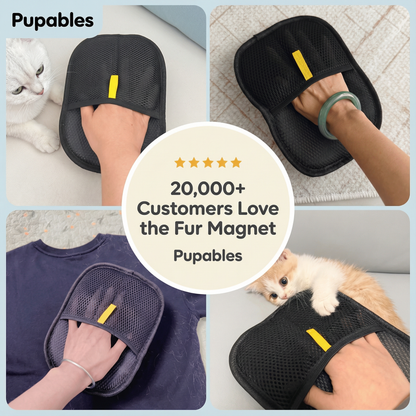 Reusable Pet Hair Remover for Furniture & Clothes