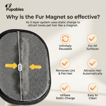 Reusable Pet Hair Remover for Furniture & Clothes