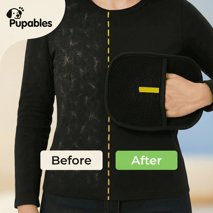 Reusable Pet Hair Remover for Furniture & Clothes