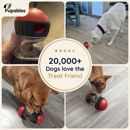Thread Friend - Puzzle Snack Toy for Dogs