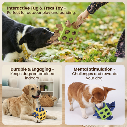 Interactive Treat Puzzle Cube