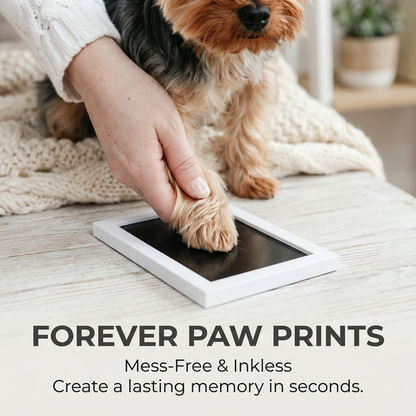Dog and Cat Paw Print Memory Kit