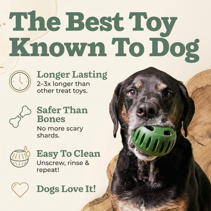 Refillable Dog Enrichment Treat Toy