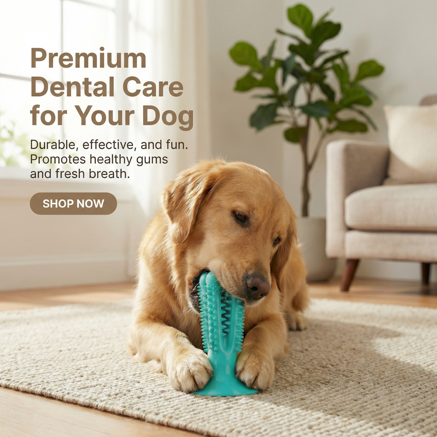 Dog Dental Cleaning Chew Toy