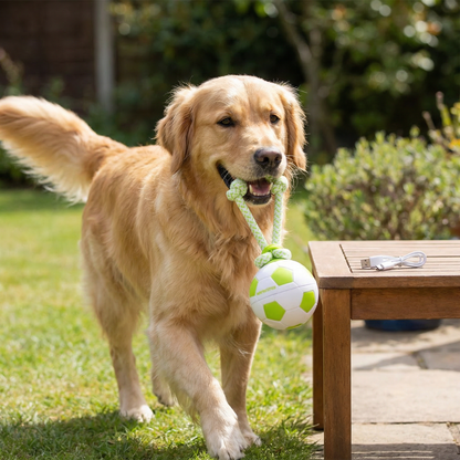 Motion Activated Dog Soccer Ball