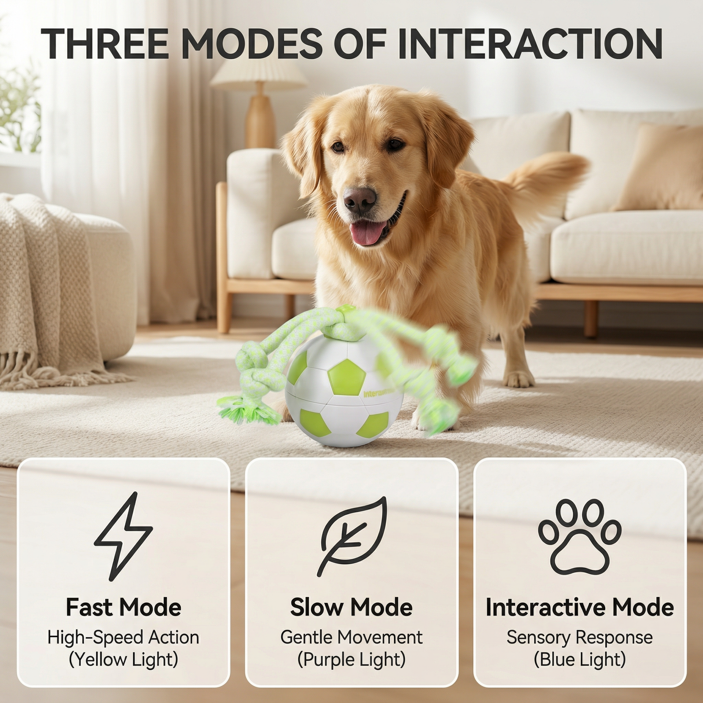 Motion Activated Dog Soccer Ball