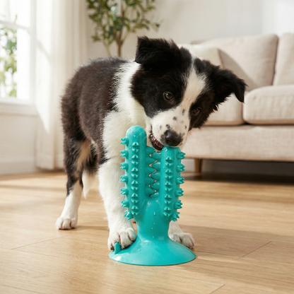 Cactus Dog Chew Toy